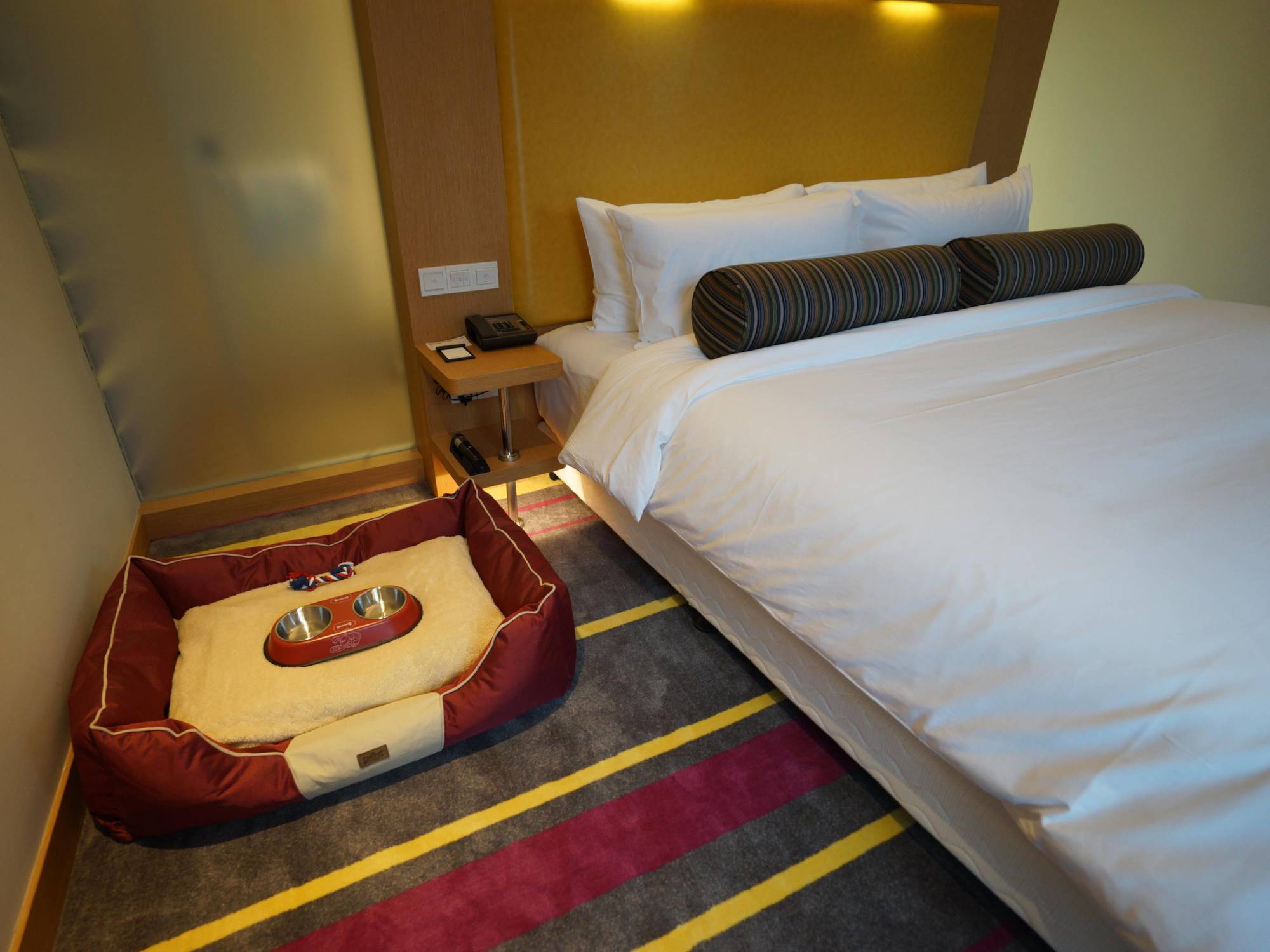 Hotel Aloft Dynamic Town Shenzhen Esterno foto